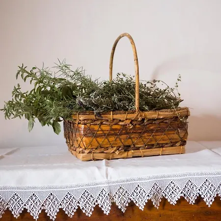 Traditional In Massari Village, Rhodes *